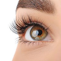Mink Lashes 