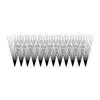 Volume Lashes