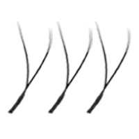 YY Lashes
