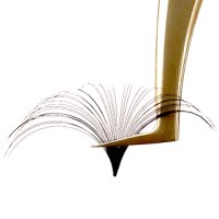 Easy Fan Lashes